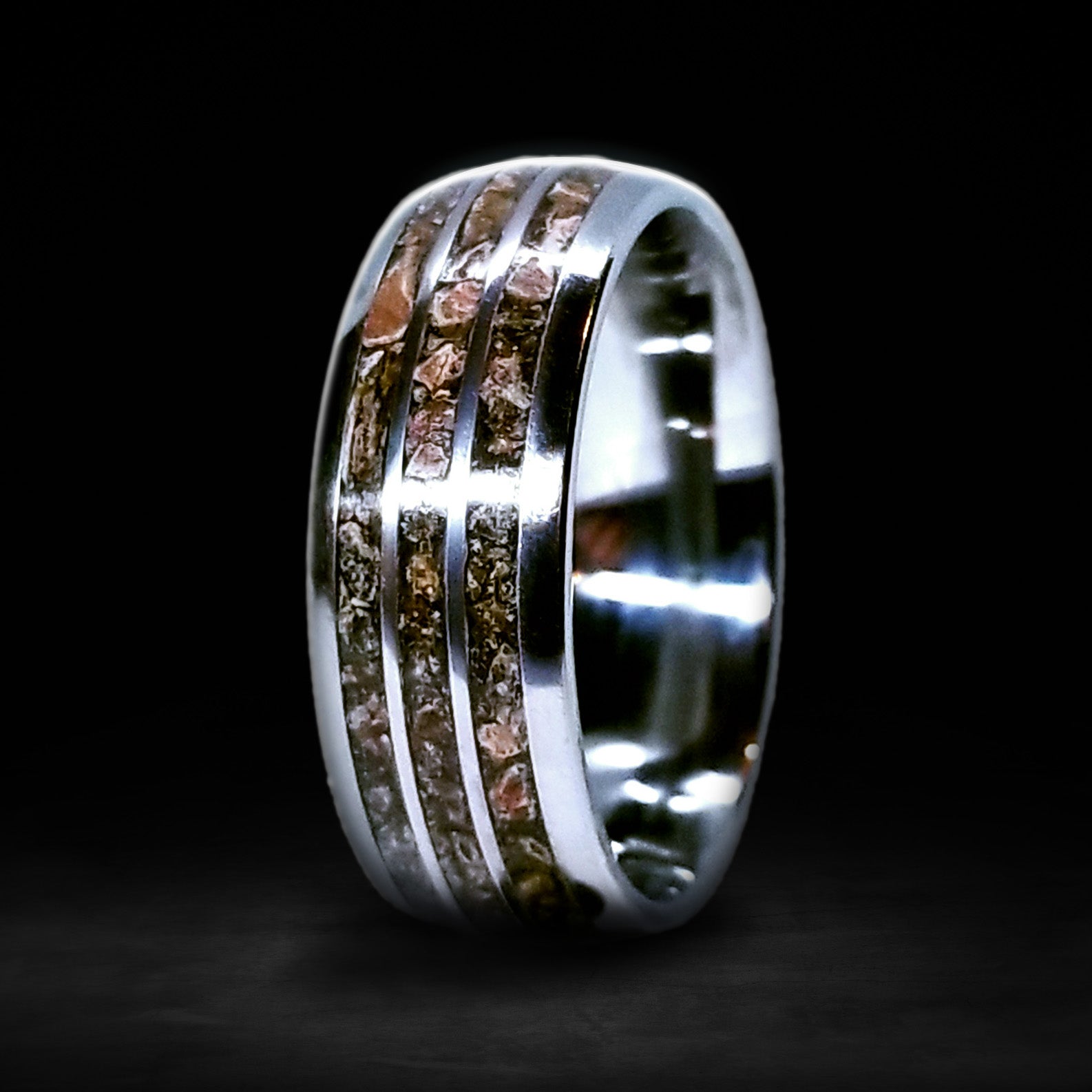 Cera - 3 Channel 8mm Triceratops Fossil Ring
