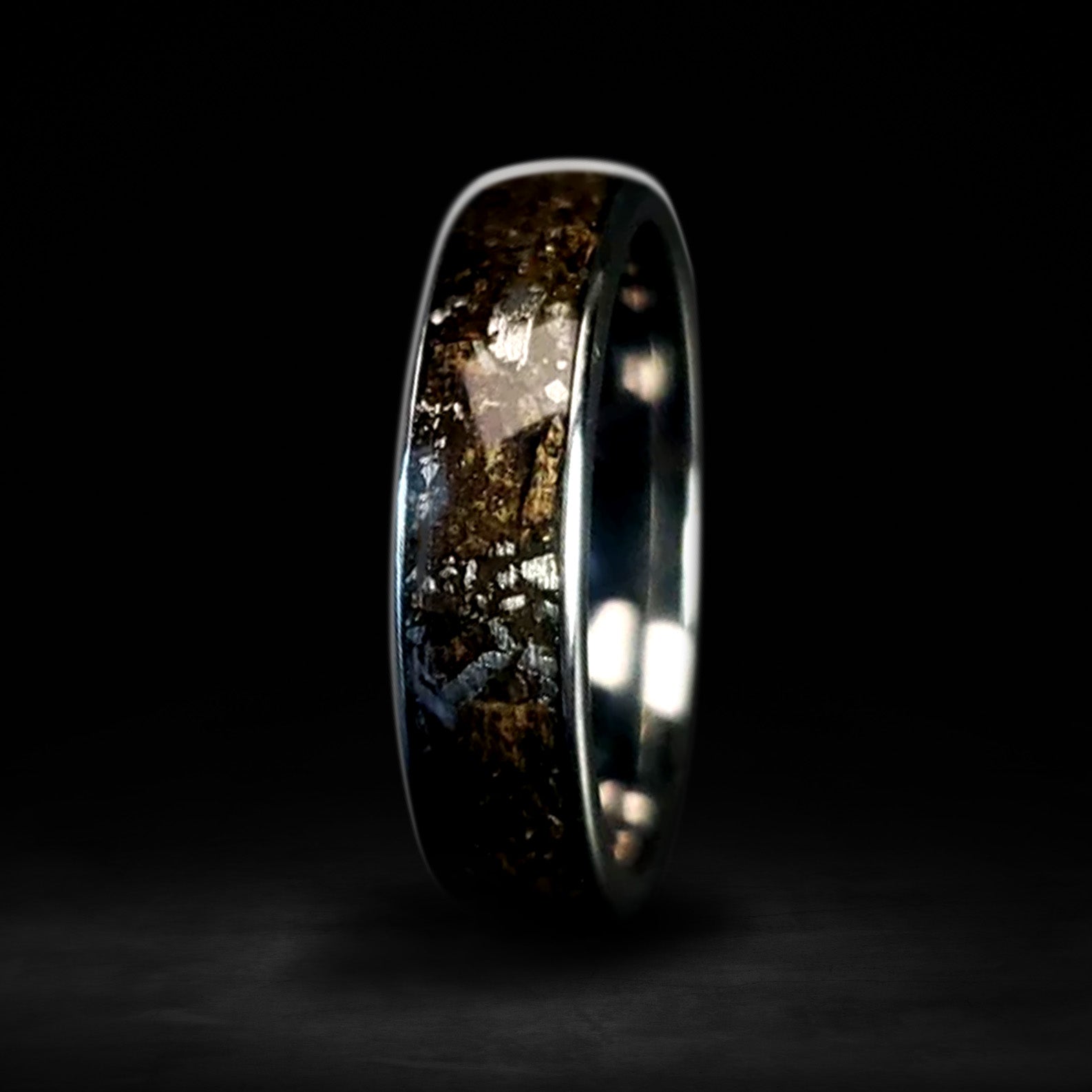 Space Rex - T-Rex & Nantan Meteorite Ring