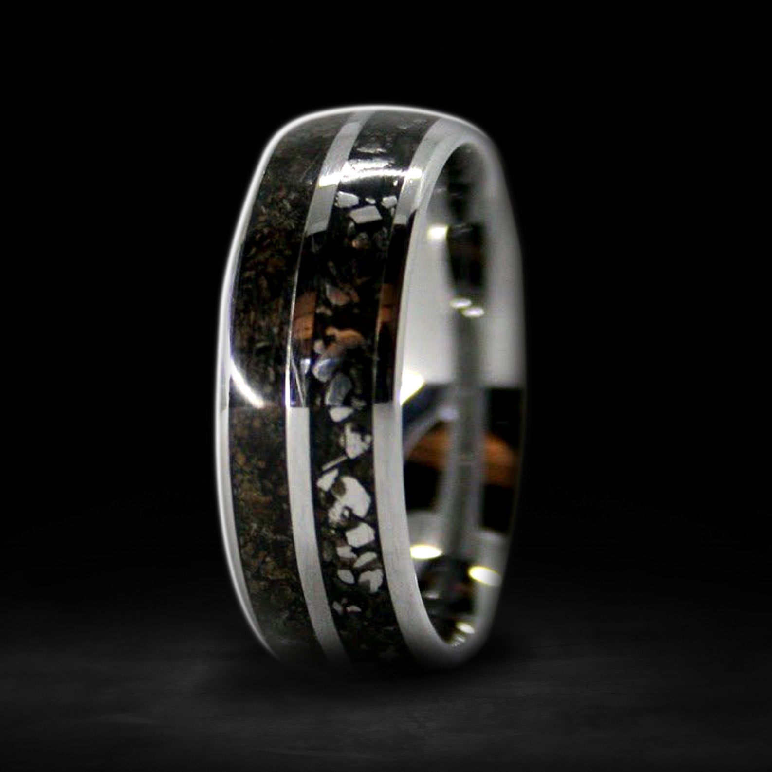 Rex Under the Stars: Domed