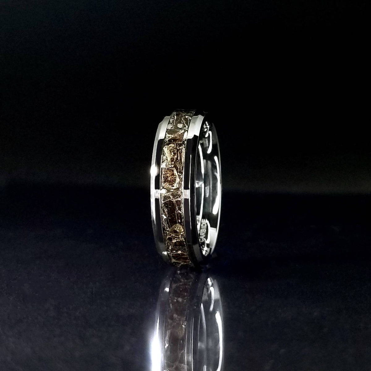 Space Rex - 6mm Beveled T-Rex & Meteorite - Celestial Rex